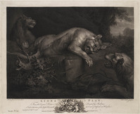 KG 18494
          <br/>
          Drie spelende leeuwen
          <br/>
          <em>Walker, William Sr.(1729-1793)</em>